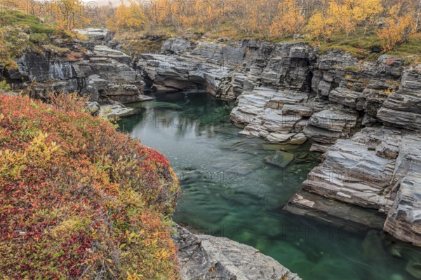 Gorge, canyon, river, rapids, autumn, autumn colours, Abisko Canyon, Abisko National Park, Laponia, Lapland, Sweden, Europe