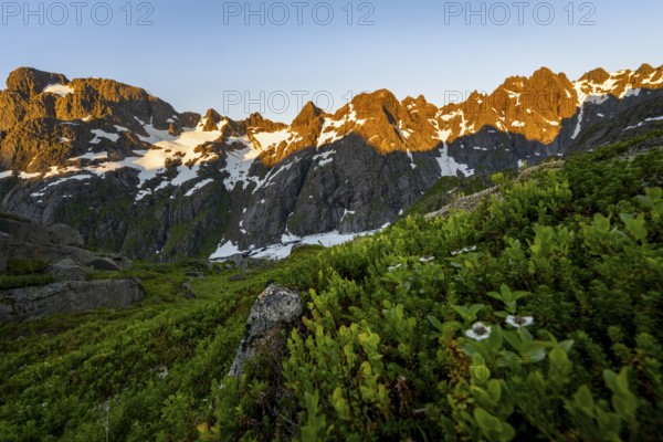Rocky mountain peaks, landscape at the Trollfjord Hytta, mountain landscape with alpenglow at sunrise, at the Trollfjord, Lofoten and Vesterålen, Nordland, Norway, Europe