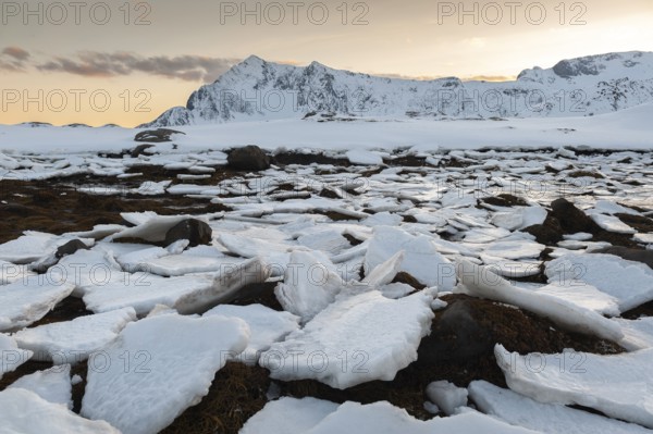 Ice floes, Lofoten island Vestvågøya at the fjord Gimsøystraumen, Lofoten, Northern Norway, Norway, Europe