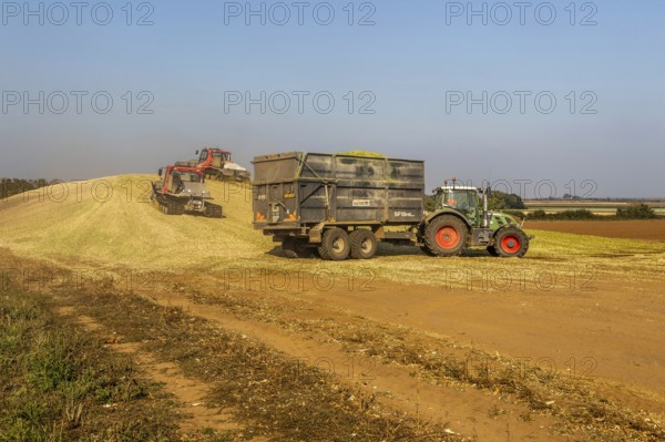 Piston Bully tracked bulldozer vehicles building silage clamp of sweetcorn maize in field stored for biofuel, Alderton, Suffolk, England, UK
