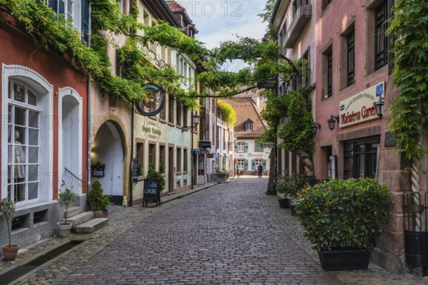 The Konviktstraße, pedestrian zone, Altstadtgasse in the historic old town of Freiburg im Breisgau, Baden-Württemberg, Germany, Europe