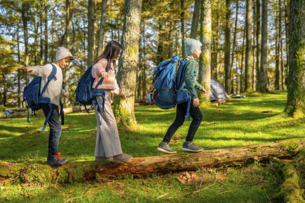 Full length photo of caucasian two brothers and a sister walking over a dead tree trunk while trekking in alpine forest