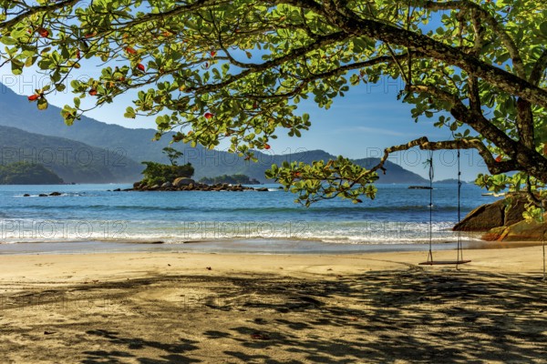 Wild beach of Castelhanos and its paradisiacal tropical landscape on the island of Ilhabela in Sao Paulo, Castelhanos beach, Ilhabela, Sao Paulo, Brazil, South America