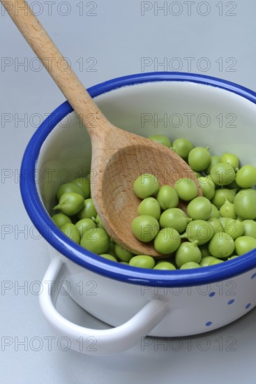 Fresh green peas in pot with wooden spoon, Pisum sativum
