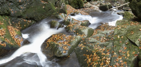 Stream with running water flowing through a rocky landscape covered with autumn leaves, Bavarian Forest National Park