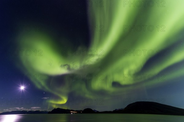 Northern Lights, (Aurora borealis) at a fjord near Skjiervoya, September 2024, Lapland, Finnmark, Norway, Europe