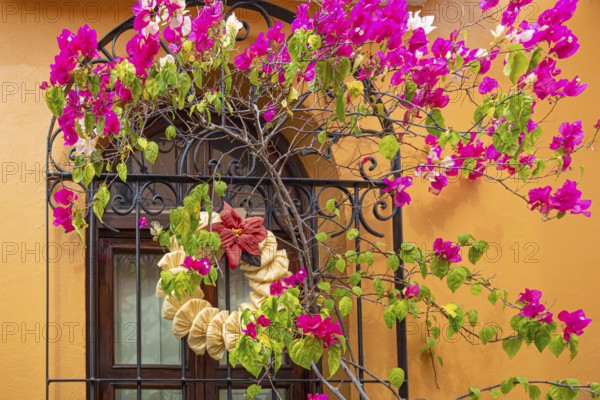 Oaxaca, Mexico, Scenic old city streets and colorful colonial buildings in historic city center, Central America