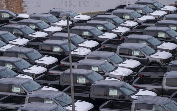 Ford FX4 pickup trucks on stockpile, in the overseas harbour of Bremerhaven, after import from the USA in Germany, Lower Saxony, Germany, Europe