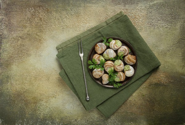 Grape snails stuffed in Burgundy, with butter and herbs, French cuisine, no people