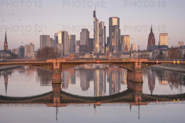 The Frankfurt bank skyline is reflected in the Main River in the morning, shortly after sunrise, Frankfurt am Main, Hesse, Germany, Europe