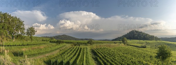 Winery in a panoramic landscape in stormy weather. Ihringen, Kaiserstuhl, Freiburg im Breisgau, Baden-Württemberg, Germany, Europe