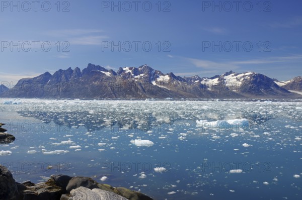 Icebergs floating in crystal clear water with mountains in the background under a blue sky, Knud Rasmussen Glacier, Tasilaq, East Greenland, Denmark, Europe