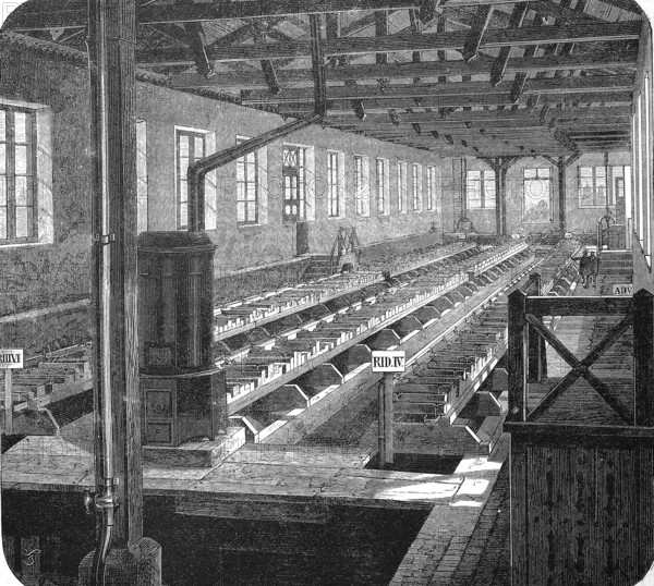 Egg production, chickens, incubators of the hatchery Hüningen, Alsace, France, in 1885, Historical, digital reproduction of an original from the 19th century, Europe