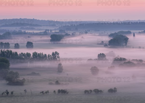 View from the Teufelsmauer (Devil's Wall) into the Harz foothills, landscape with trees and fields in fog and at dawn, Teufelsmauer nature reserve, near Blankenburg, Harz, Saxony-Anhalt, Germany, Europe