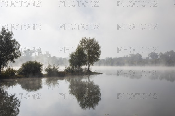 Kressler fishing pond in the morning mist, Arnstadt, Thuringia, Germany, Europe