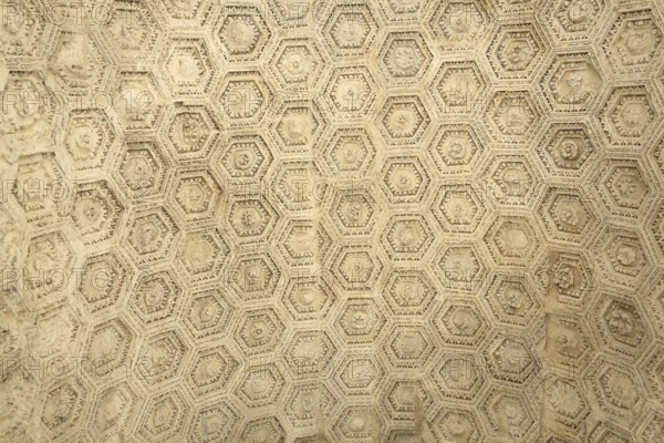 Pattern with relief on the city foundation arch, triumphal arch, UNESCO, Roman period, antique, floral decoration, ornaments, detail, structure, regular, geometric, symmetrical, white, hexagonal, orange, Vaucluse, Provence, France, Europe