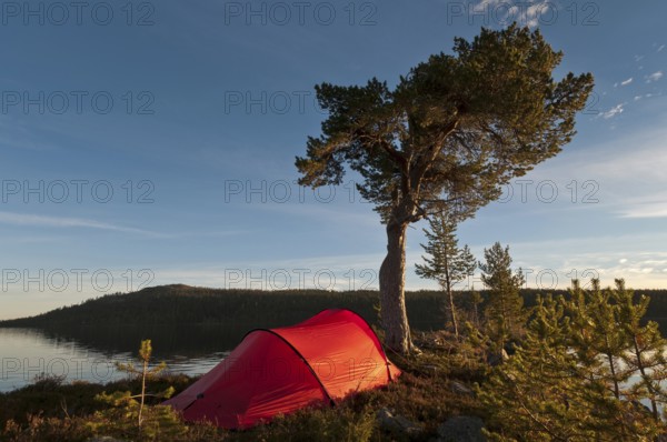 Tent at Lake Gutulisjoen, Gutulia National Park, Hedmark Fylke, Norway, Bivouac, Norway, Europe
