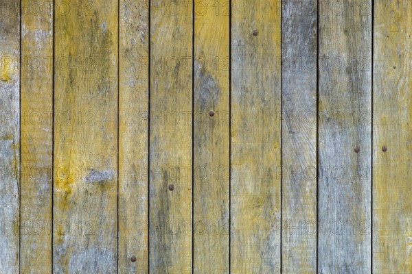 Texture, background, plank wall, wooden wall, peeling paint, Münsterland, North Rhine-Westphalia, Germany, Europe