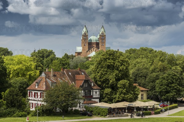 Beer garden on the Rhine and imperial cathedral, St Mary's and St Stephen's Cathedral, UNESCO World Heritage Site, Speyer, Rhineland-Palatinate, Germany, Europe