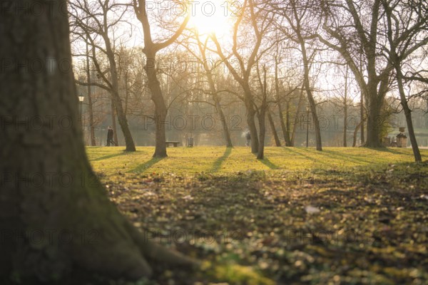 Trees in the park in the evening sun, with long shadows and a nature trail, Domäne Monrepos, Ludwigsburg, Germany, Europe