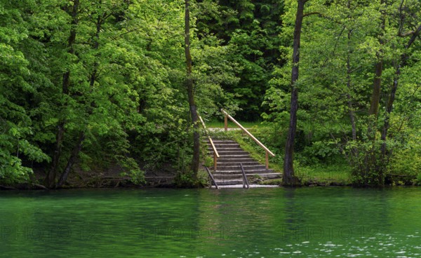 Landscape at Lake Thumsee, Bad Reichenhall, Bavaria, Germany, Europe