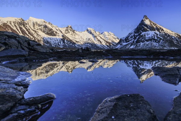 Evening light over steep mountains, reflection in fjord, winter, Moskenesoya, Lofoten, Norway, Europe
