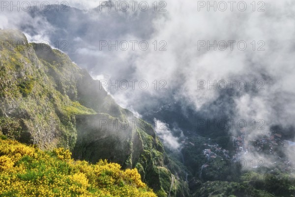 Aerial drone view of Curral das Freiras village from Miradouros do Paredao with blooming yellow Cytisus shrubs, Madeira island, Portugal, Europe