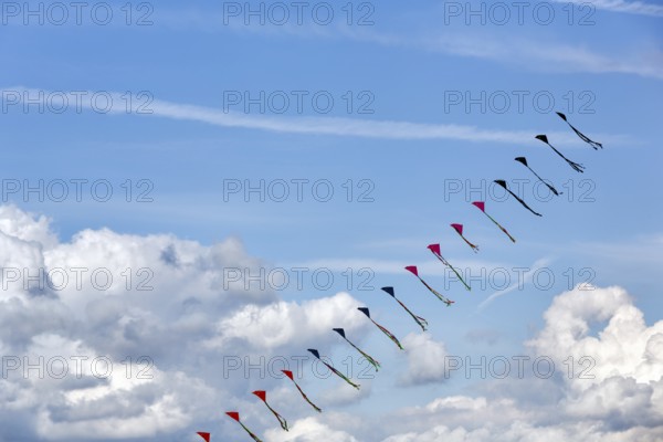 Strung kites flying in the sky, garland, kite festival in Vinsebeck, Steinheim, Eggegebirge and Southern Teutoburg Forest nature park Park, Weserbergland, North Rhine-Westphalia, Germany, Europe