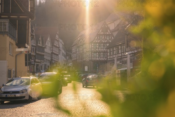 Picturesque half-timbered houses at sunset with parked cars and green plants in the foreground, Calw in spring, Black Forest, Germany, Europe