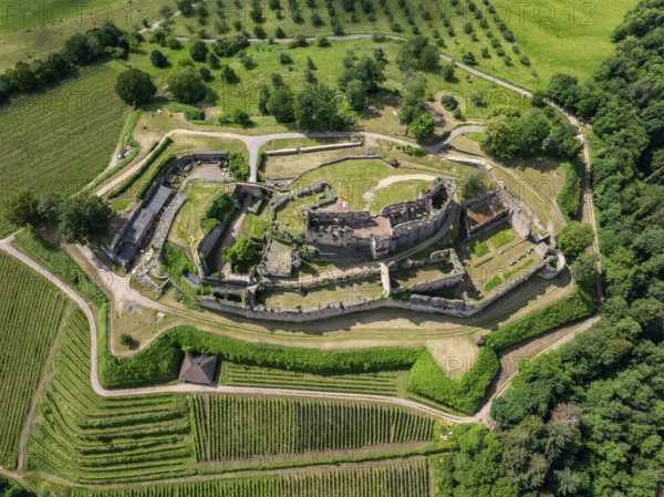 Aerial view of the ruins of Hochburg Castle, also known as Hachberg, 11th century, between Emmendingen, Sexau and Windenreute, second largest castle complex in Baden, administrative district of Freiburg, Black Forest, Baden-Württemberg, Germany, Europe