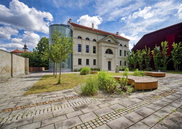 Hahnemann bust, European Library for Homeopathy, Köthen, Saxony-Anhalt, Germany, Europe