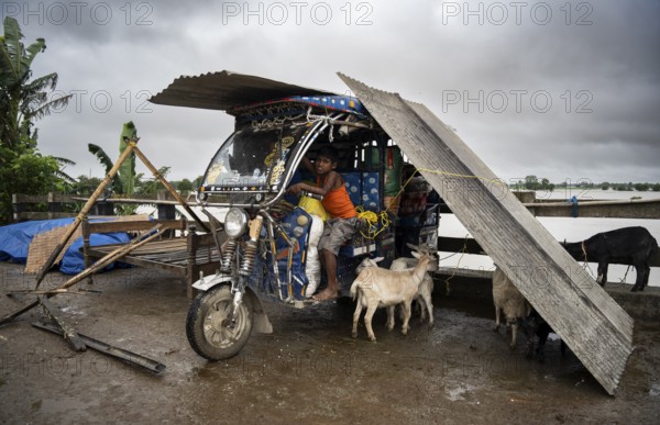 Morigaon, India. 2 July 2024. people takes shelter in a batter rickshaw in a flood affected village on July 2, 2024 in Morigaon, India. Floods in Assam are primarily caused by heavy monsoon rains and the overflow of rivers in the region. Assam is located in a low-lying area and has a network of rivers, including the Brahmaputra and its tributaries. During the monsoon season, these rivers often receive excessive rainfall, leading to their swelling and breaching their banks, resulting in widespread flooding