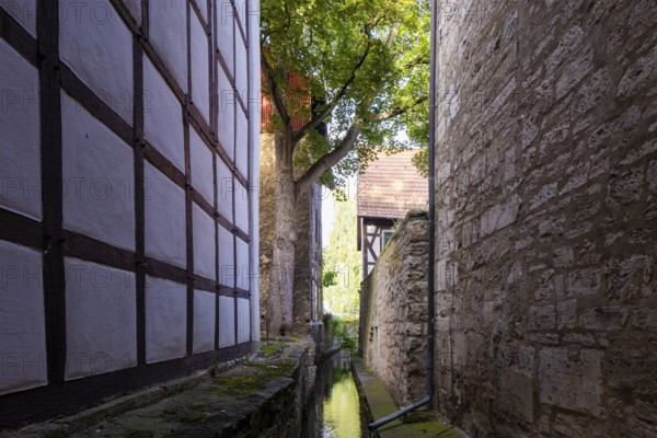 Mühlhausen townscape, Mühlhausen, Thuringia, Germany, Europe