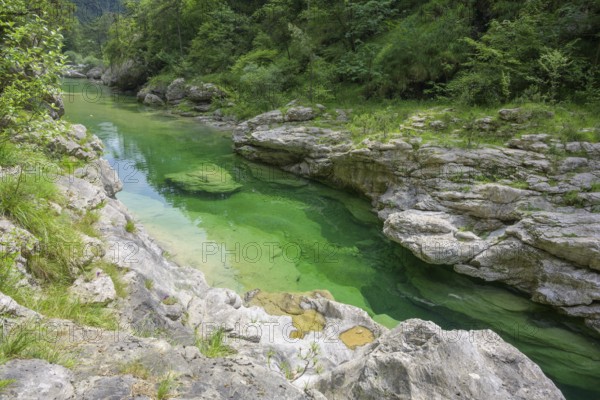 Emerald green river Pozze Smeraldine, Tramonti di Sopra, Province of Pordenone, Italy, Europe
