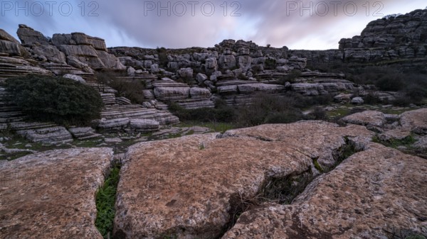 Bizarre limestone rock formations, El Torcal nature reserve, Torcal de Antequera, Malaga province, Andalusia, Spain, Europe