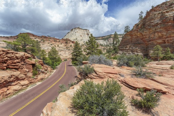 Patterns of erosion on the rocky mountainside along the Zion Park Boulevard in Zion National Park, Utah