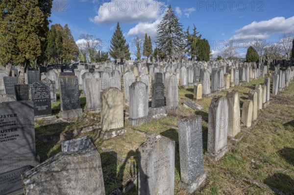 Old graves at the Israeli cemetery, inaugurated in 1882, Werner-von Siemens Str. 2, Würzburg, Lower Franconia, Bavaria, Germany, Europe