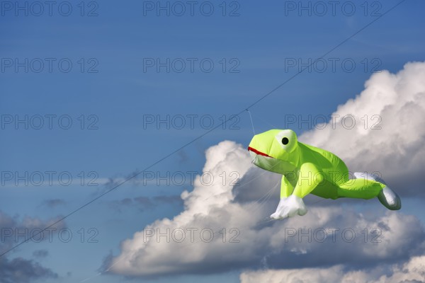 Kite flying in the sky, frog, kite festival in Vinsebeck, Cumulus, copy space, Steinheim, Eggegebirge and Southern Teutoburg Forest nature park Park, Weserbergland, North Rhine-Westphalia, Germany, Europe
