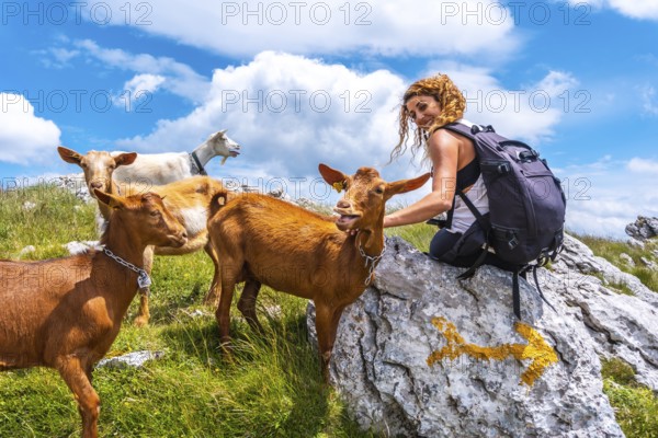 Mount Aizkorri 1523 meters, the highest in Guipúzcoa. Basque Country. Ascent through San Adrián and return through the Oltza fields. A young woman scratching some goats, vertical photo