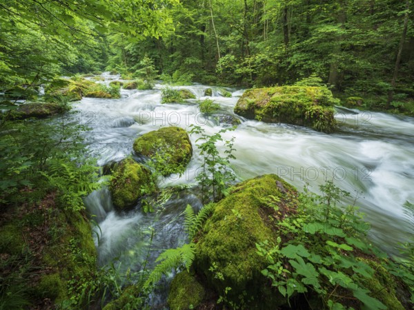 White water and rapids on the Trieb stream in the Triebtal nature reserve in Vogtland, Plauen, Saxony, Germany, Europe