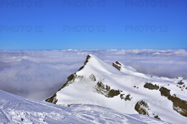 View from the Gottesacker plateau on the Hoher Ifen (2230 m) towards the west, Kleinwalstertal, Allgäu, Vorarlberg, Austria, Europe