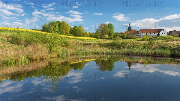 The small village of Teichwitz with half-timbered house, village church and blooming rape field under a blue sky, reflection in a pond, Weida, Thuringia, Germany, Europe