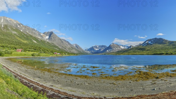 Lyngen Alps at the Lyngenfjord, Lyngen Alps, mountains with snow, blue sky, European North Sea, Troms og Finnmark, Northern Norway, Norway, Europe