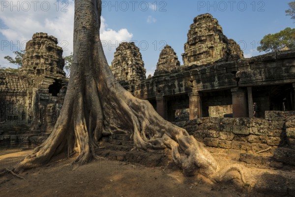 Ta Prohm, Angkor Wat, Angkor, UNESCO World Heritage Site, Siem Reap, Cambodia, Indochina, Southeast Asia, Asia