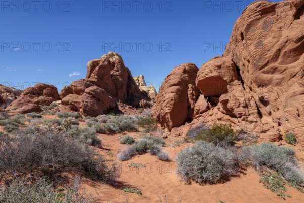 Rock formations along the Fire Canyon Overlook Trail at Valley of Fire State Park near Overton, Nevada