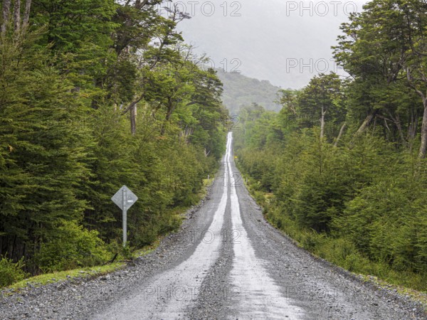 Road Carretera Austral passing cold rain forest near Villa o' Higgins, Patagonia, Chile, South America