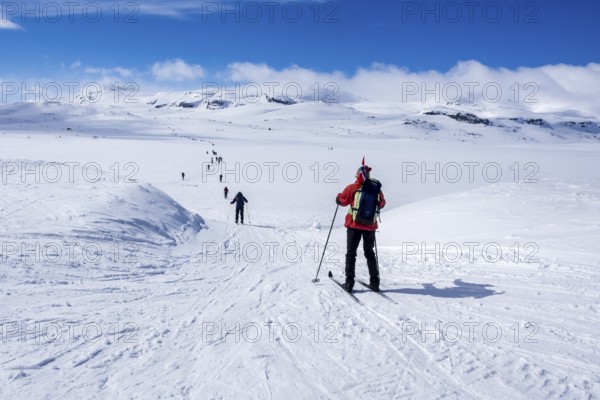 National day 17th May, Norwegians hike on ski, carrying norwegian flags, hike from Finse, highest railroad station on railroad line Oslo-Bergen, to glacier Hardangerjøkull, Hardanger, Norway, Europe