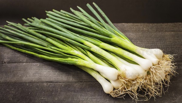 Vegetable, spring onion or spring onion, also known as winter onion, Allium fistulosum