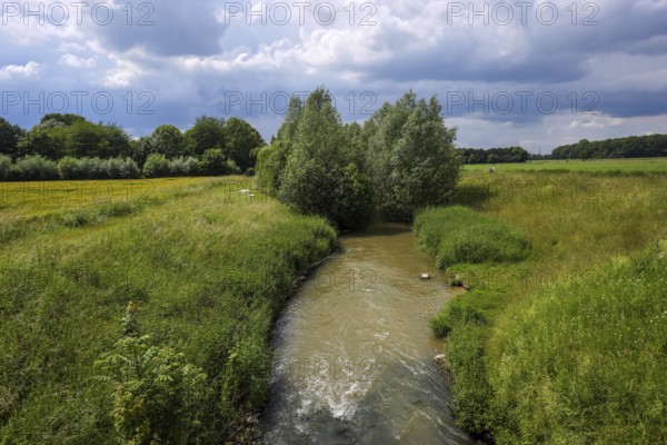 Kamen, Ruhr area, North Rhine-Westphalia, Germany, Spring landscape on the Seseke. The renaturalised Seseke, a tributary of the Lippe, has been transformed into a near-natural watercourse, flood protection and biodiversity through newly designed floodplains. Following the construction of a parallel sewer, the Seseke is now free of wastewater, having previously been an open, above-ground wastewater sewer, combined sewer with surface water and wastewater, Europe