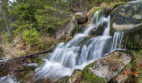 Small waterfall at Kreuzbach, small mountain stream flows over stones covered with moss, Bavarian Forest, Lower Bavaria, Bavaria, Germany, Europe